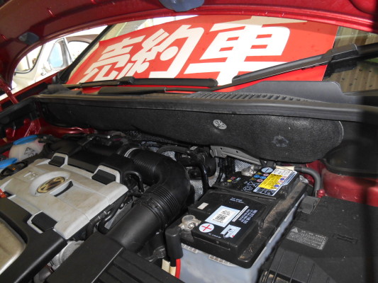 DSCN0739