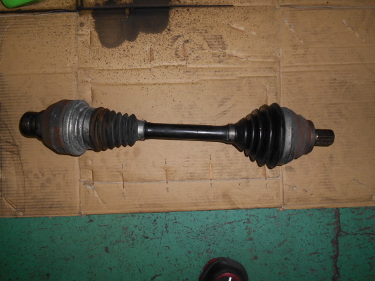 DSCN2529