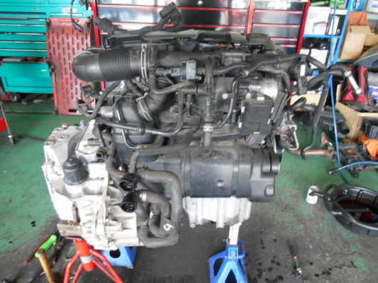 DSCN4144