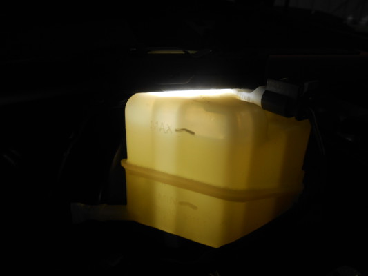 dscn5873