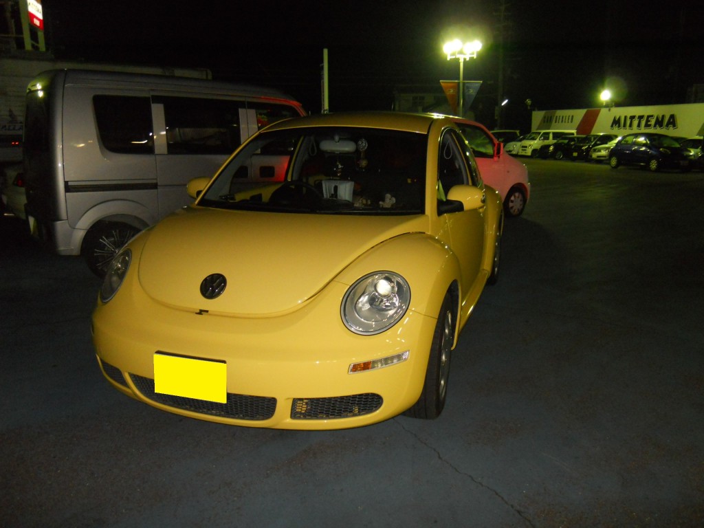 DSCN8010