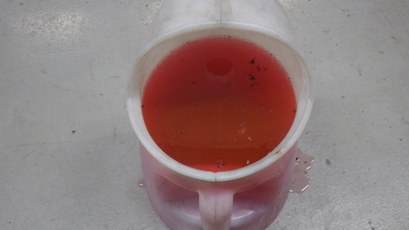 image11