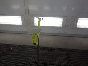 image10