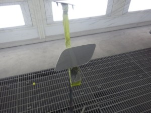 image12