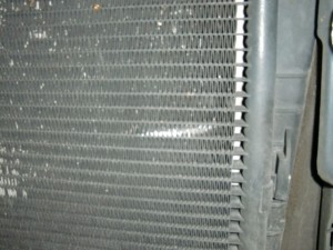 CIMG4591